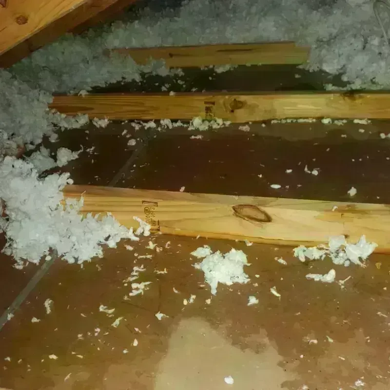 Attic Water Damage in Oregon, MO