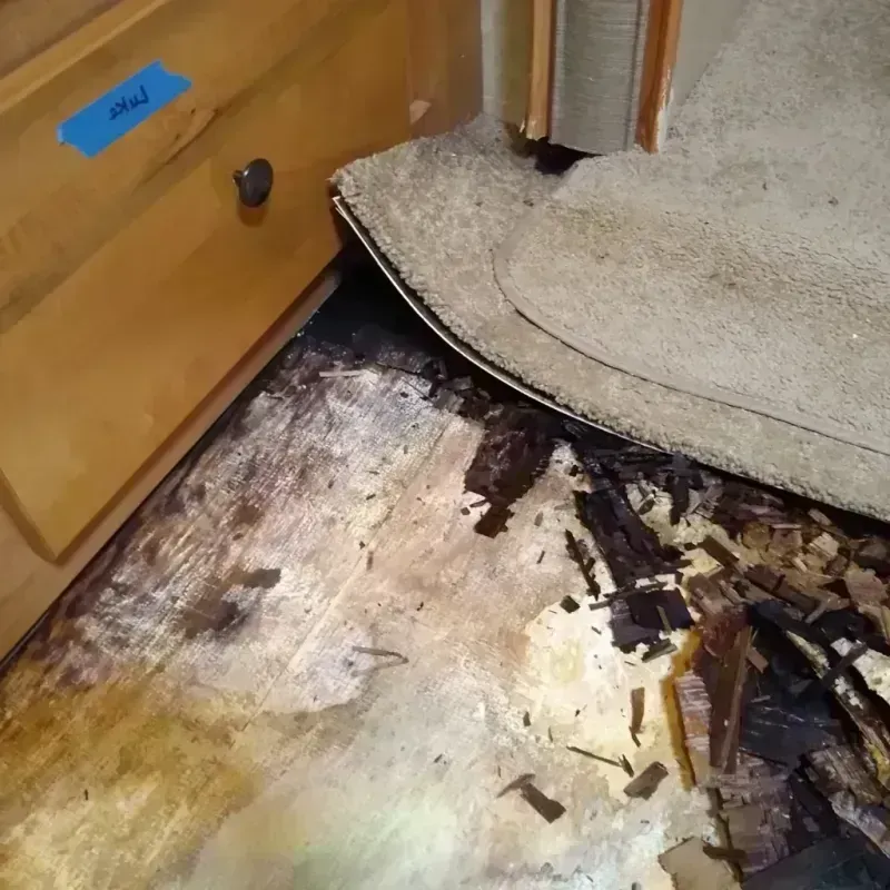 Wood Floor Water Damage in Oregon, MO